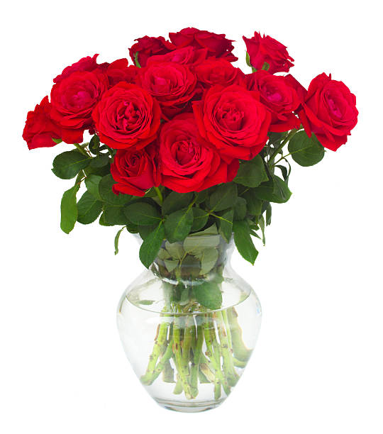 istock bouquet of fresh roses 497542800