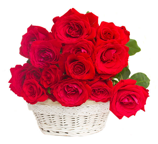istock bouquet of fresh roses 497542864