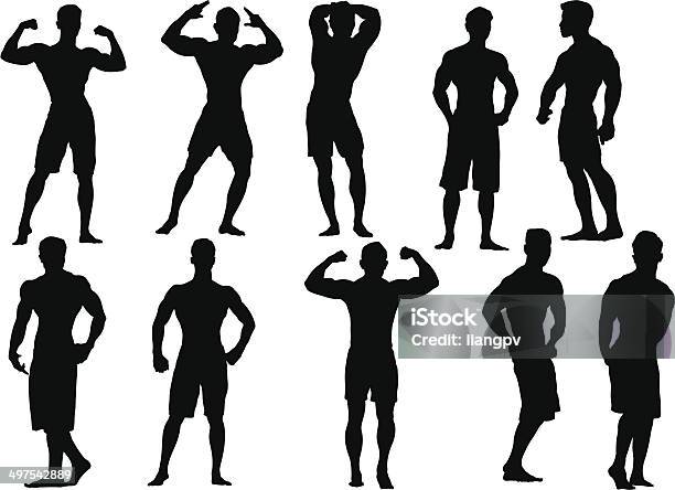 Muscular Builder Stock Illustration - Download Image Now - Adult, Anaerobic Exercise, Bicep