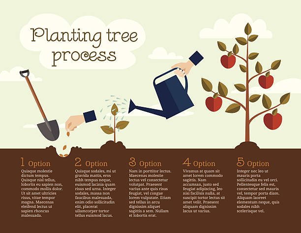 ilustrações, clipart, desenhos animados e ícones de processo de plantio de árvores - caroço da maçã