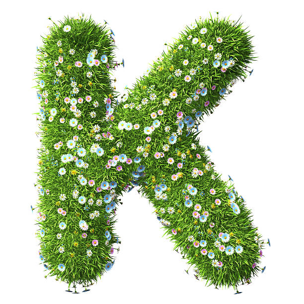 buchstabe k von gras und blumen - letter k alphabet three dimensional shape green stock-fotos und bilder