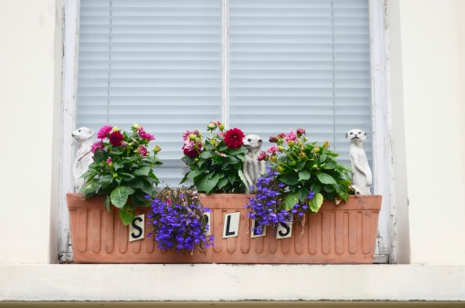 window ledge decoration with flowers