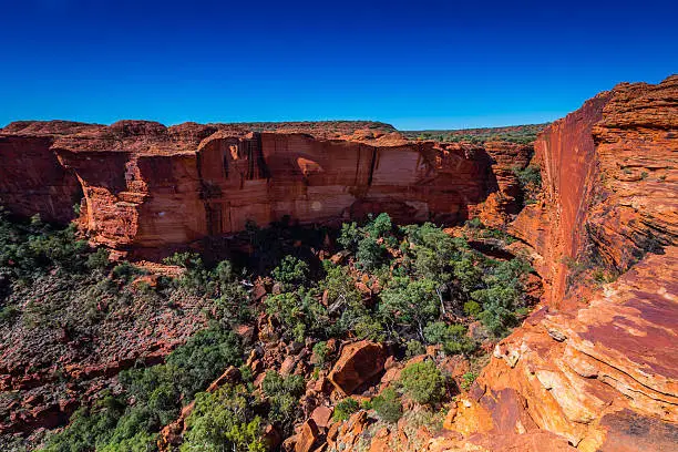 Australia outback landscape with blue sky.