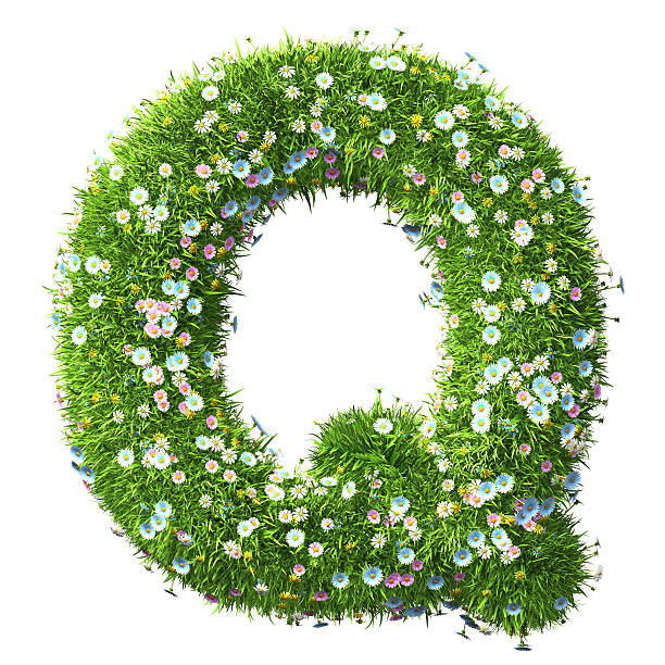 istock Letter Q Of Grass And Flowers 497543366
