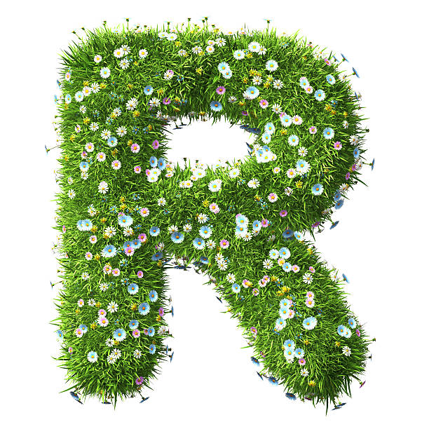 istock Letter R Of Grass And Flowers 497543418