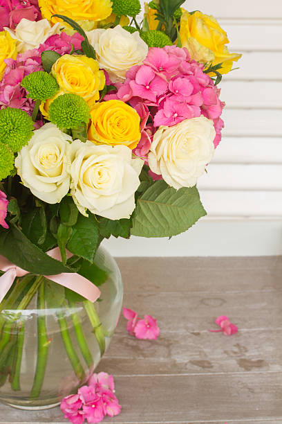 istock pink  hortensia flowers 497543472