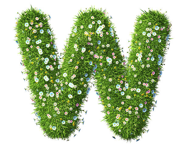istock Letter W Of Grass And Flowers 497543652