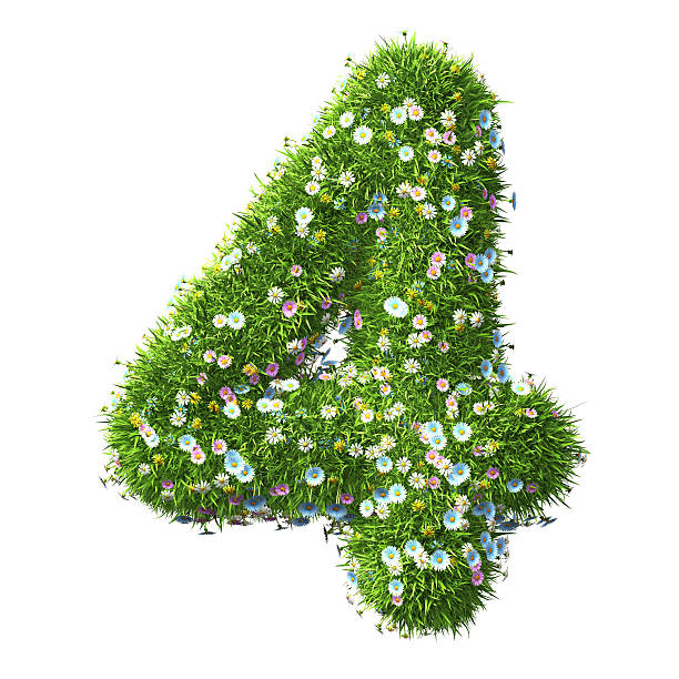 numer 4 trawy i kwiaty - number 4 three dimensional shape green environmental conservation zdjęcia i obrazy z banku zdjęć