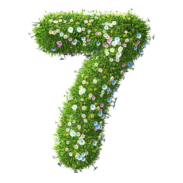 istock Number 7 Of Grass And Flower 497544048