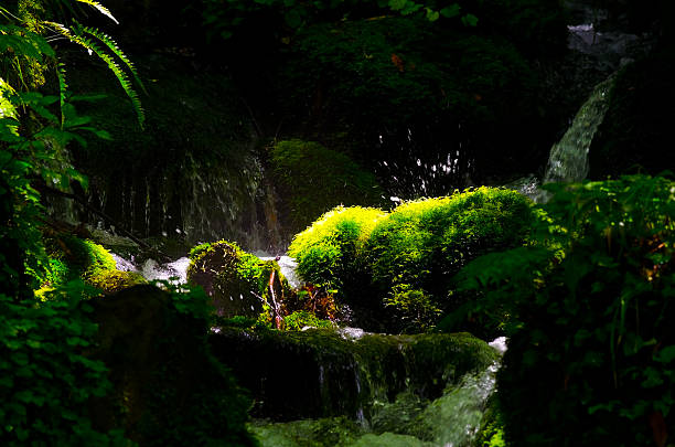 istock MOTOTAKI-FUKURYUSUI Falls 497544911
