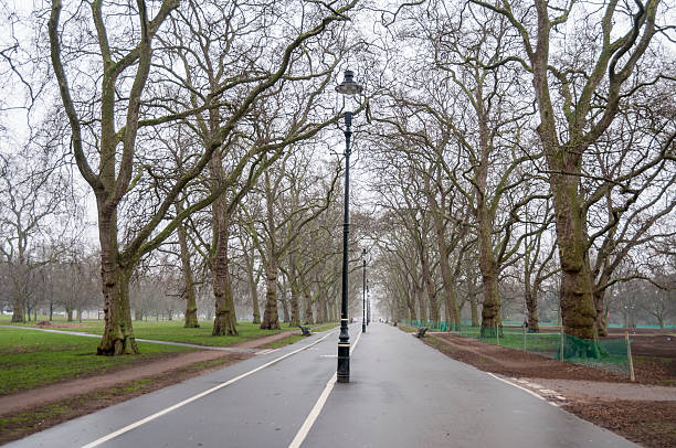 istock Hyde Park In London England 497546039