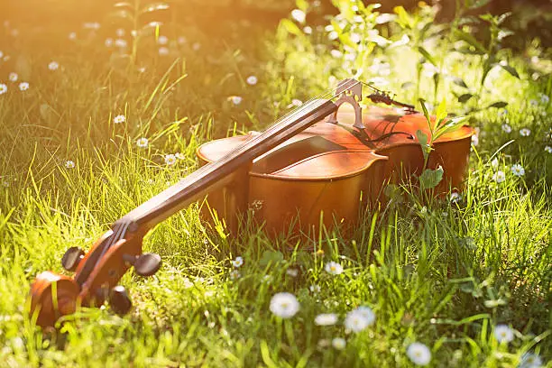 Cello in the spring grass.
