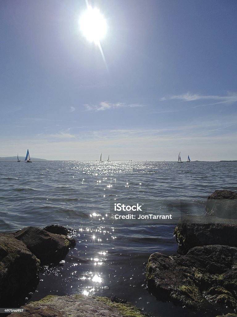 Estuario de luz - Foto de stock de Aire libre libre de derechos