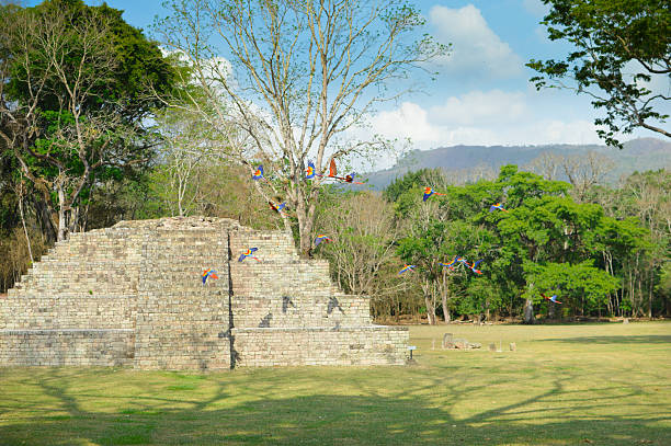 Mayan archaelogical site of Copan, hieroglyphic stairway in Honduras
