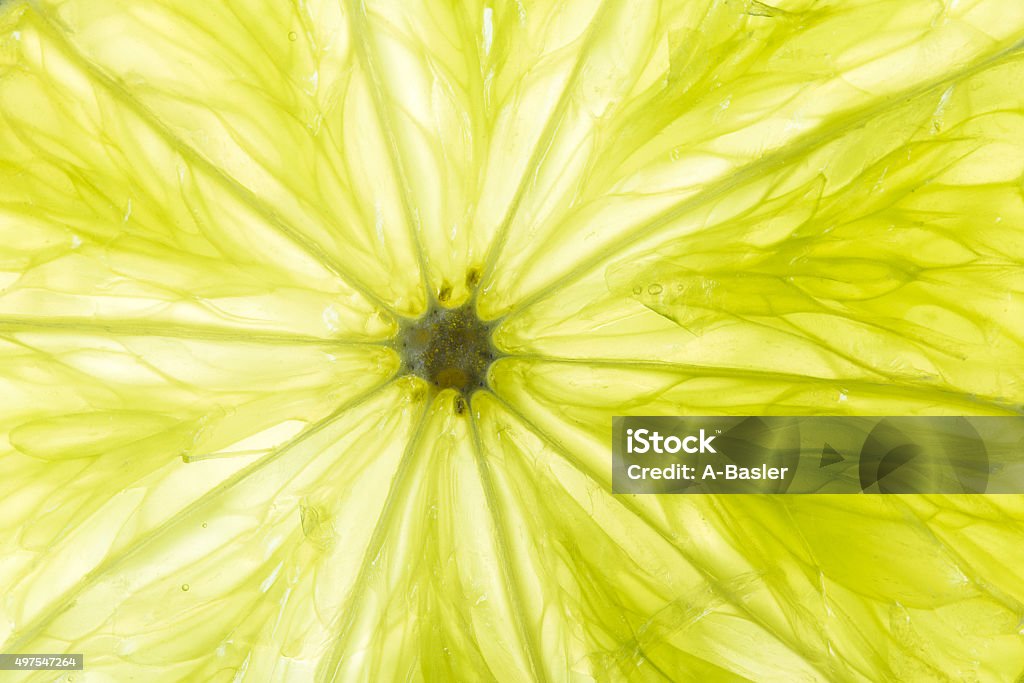 green lime closeup macro of green lime slice Macrophotography Stock Photo