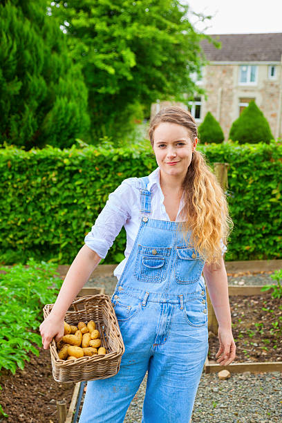 istock Farm Girl Collecting Potatoes 497549091