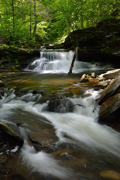 istock Waterfalls in Ricketts Glen State Park 497549729