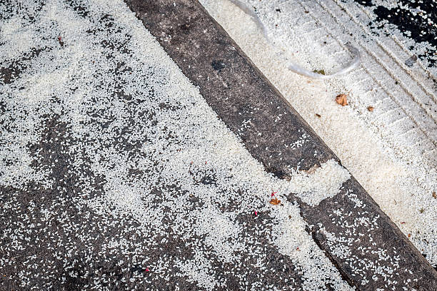 Rice on the street