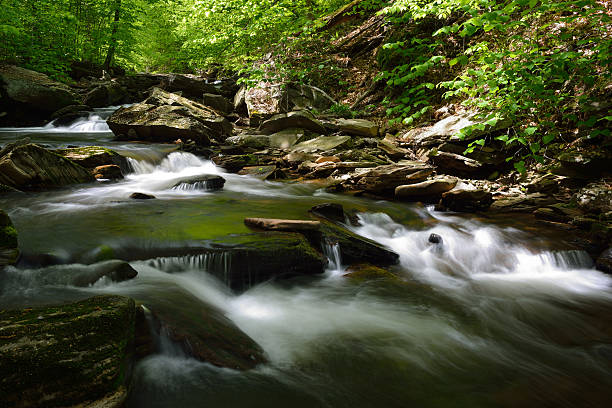 istock Creek in Ricketts Glen State Park 497564331