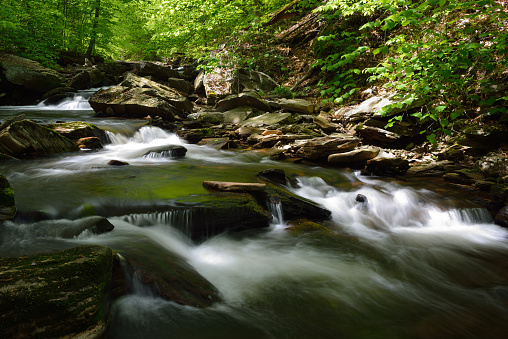 Kitchen Creek in Spring, Ricketts Glen State Park, Pennsylvania, USA