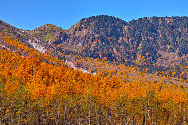 istock Autumn Kamikochi Yakedake 497565242
