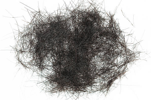 istock Cutting black hair isolated on white 497565388