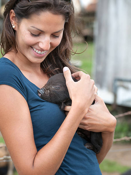 istock Girl holding a Baby Pig on a Farm 497565607