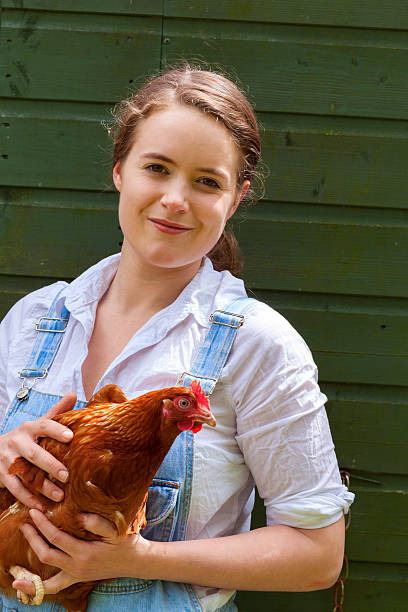 istock Farm Girl Holding A Hen 497568317