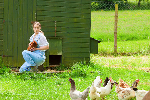 istock Farm Girl Holding A Hen 497568321