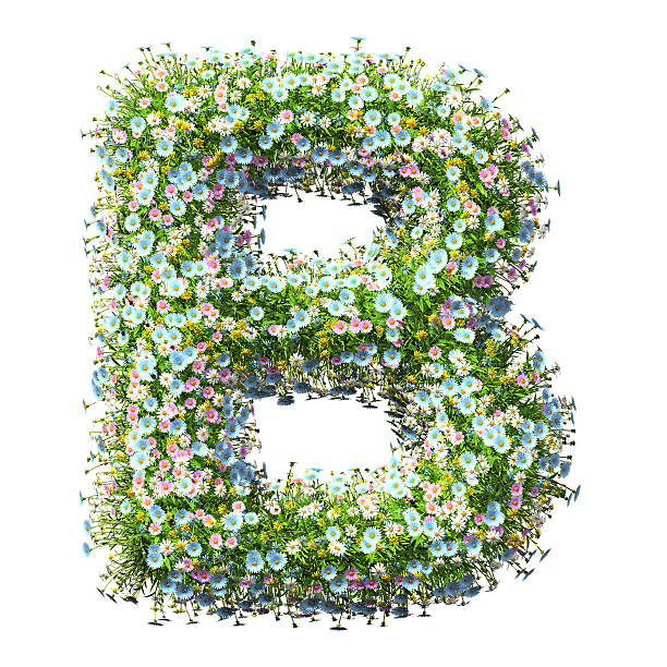 istock Letter B Of Flowers 497570338