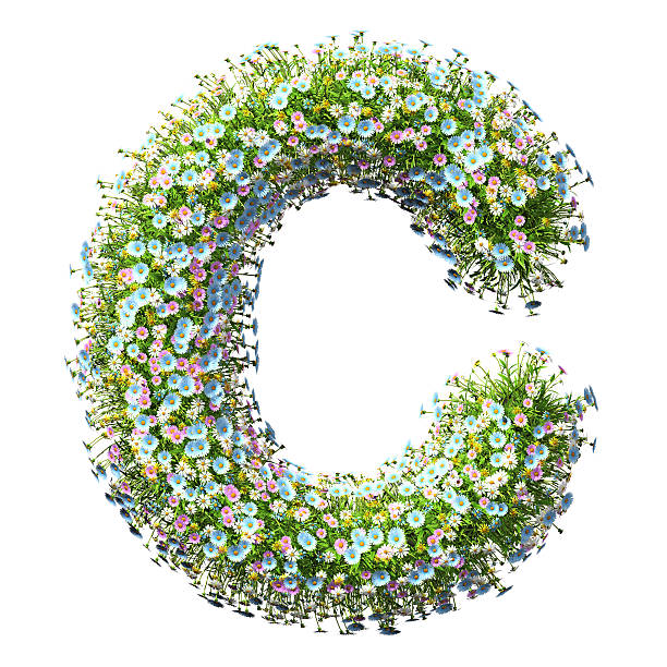 istock Letter C Of Flowers 497570370