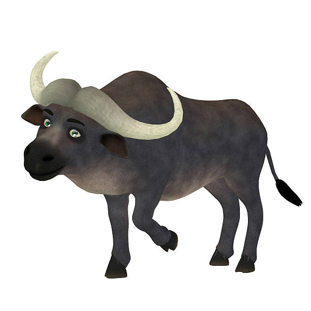 Illustration of a buffalo isolated on a white background