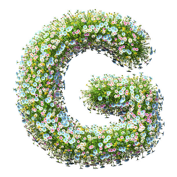 istock Letter G Of Flowers 497570562