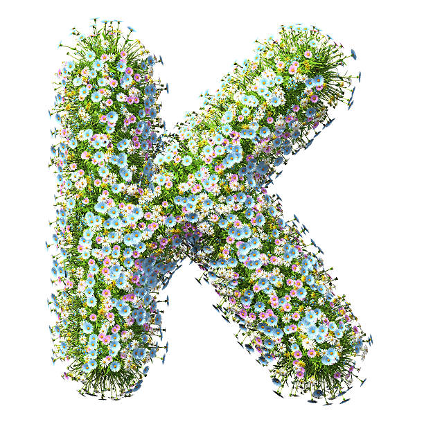 buchstabe k blumen - letter k alphabet three dimensional shape green stock-fotos und bilder