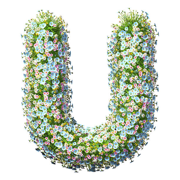 istock Letter U Of Flowers 497571220