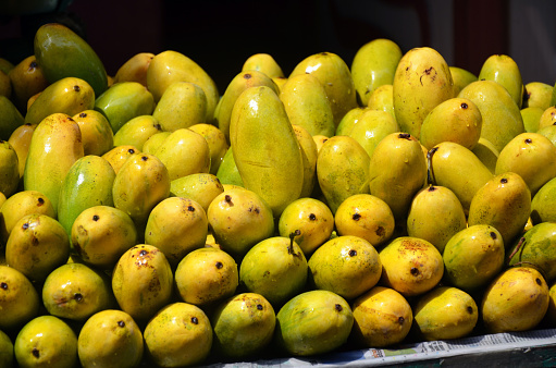 picture of fresh indian mangoes being sold at local vendor 