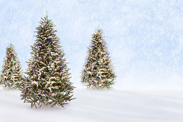 istock Christmas Tree Snowy Winter Scene Background 497576580