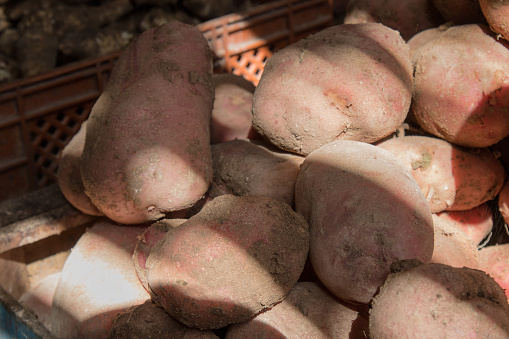 Pile of fresh potatoes on a market stall, full of sunlight.