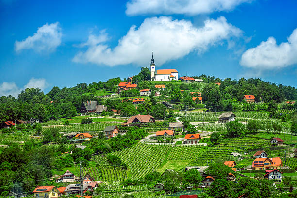 istock Panoramic view at beautiful village in Slovenia 497584275