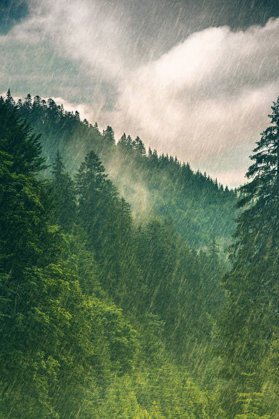 istock heavy rain in the mountains 497588211