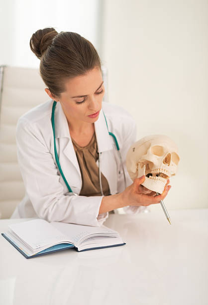 istock medical doctor woman explaining something on human skull 497589609