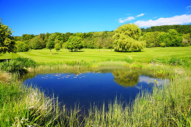 Small blue lake in lush green meadow stock photo