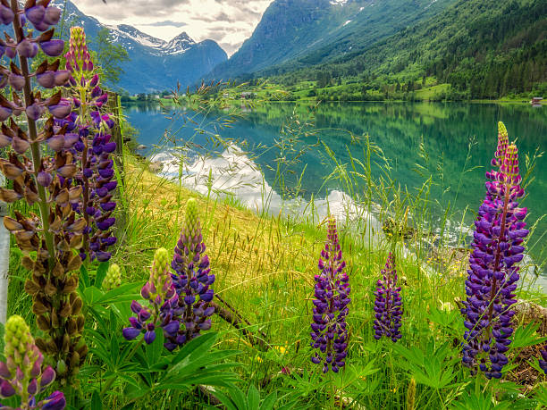 istock Photo taken in Olden,  Norway 497597501