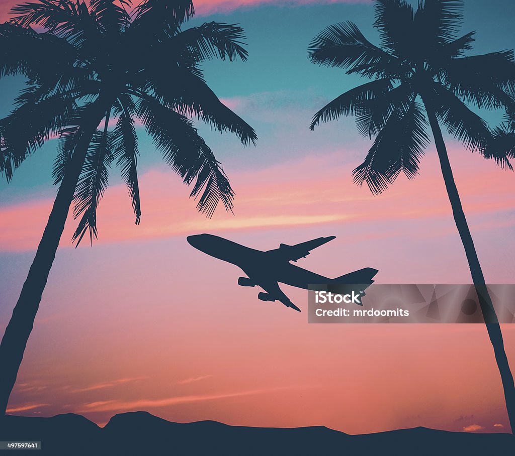 Retro Airliner With Palm Trees Retro Style Photo Of Plane Over Tropical Scene Airplane Stock Photo