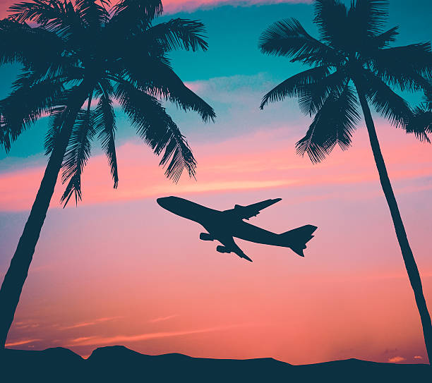 Retro Airliner With Palm Trees Retro Style Photo Of Plane Over Tropical Scene caribbean beach sunset stock pictures, royalty-free photos & images