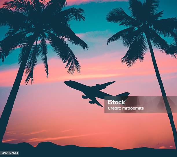 Retro Airliner With Palm Trees Stock Photo - Download Image Now - Airplane, Travel, Big Island - Hawaii Islands