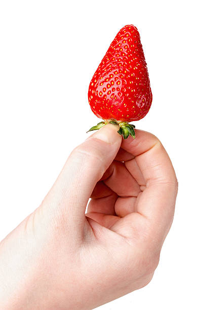 istock Woman hand holding strawberry on the white background 497598149