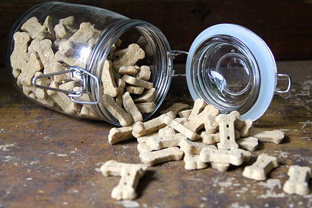 istock Glass Mason Jar Open Pouring Out Dog Cookies 497598509