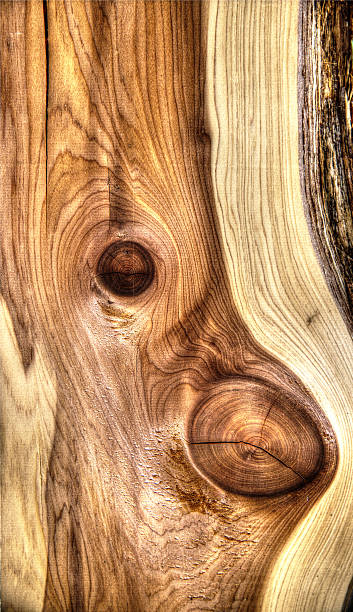木の質感 - wood grain plywood wood textured ストックフォトと画像