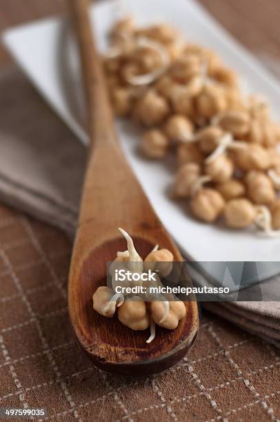 Chickpea Sprouts Stock Photo - Download Image Now - Backgrounds, Bean, Chick-Pea